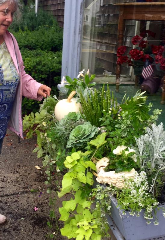 Members work in teams to plant and maintain the town’s window boxes and planters. Shown here is Sarah Mitchell at work outside the General Store. COURTESY MARION GARDEN GROUP